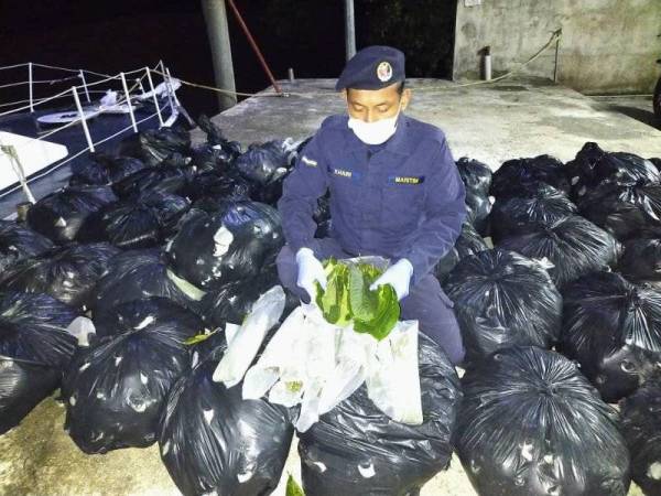 Maritim Malaysia Zon Maritim Kuala Kedah menggagalkan cubaan menyeludup keluar daun ketum seberat 450 kg melalui jalan laut di pesisir pantai Kuala Sanglang, pada Sabtu.