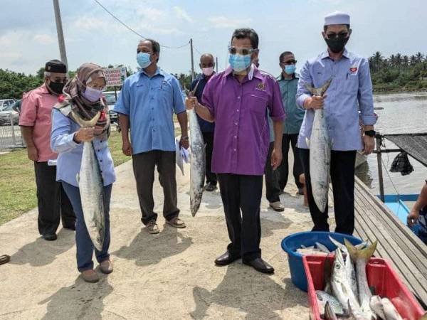 Che Abdullah (tengah) meninjau ikan yang dibawa naik dari jeti berdekatan di Pasar Nelayan Pulau Gajah di sini.