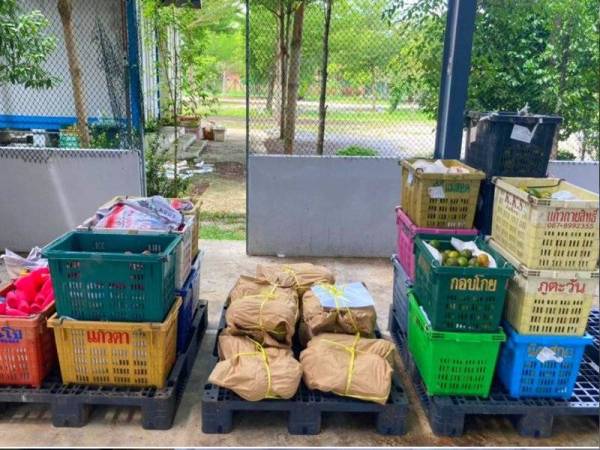 Maqis Kelantan menahan pelbagai jenis buah seberat 474 kilogram (kg) tanpa permit import sah dari Thailand yang cuba dibawa masuk ke negara ini.