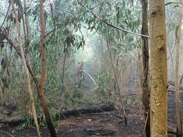 Anggota bomba berusaha memadamkan kawasan hutan tanah gambut di Kampung Balai Besar, Dungun yang terbakar sejak Isnin.