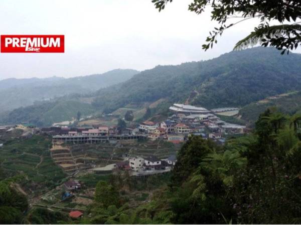 Gara-gara Perintah Kawalan Pergerakan Diperketatkan (PKPD) di Cameron Highlands, lebih 12,000 pekerja kebun terpaksa berkurung di rumah. (Gambar hiasan) - Foto 123RF