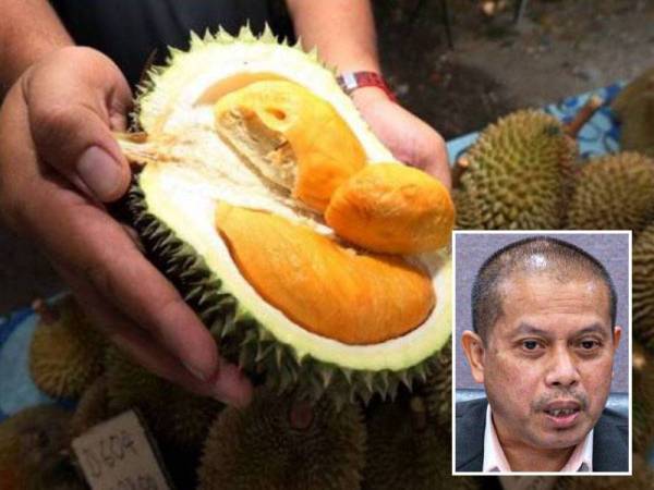 Harga durian kampung 2021