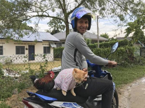 Muhammad Amir bersama haiwan peliharaan yang lebih mesra dipanggil 'Long' ayam hutan dan 'Adik Kiss' kucing ketika ditemui pemberita dirumahnya di Kampung Cherodok, pada Khamis. - Foto Bernama 