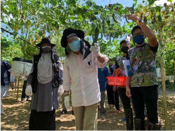 Golongan muda diantara pemangkin perkembangan sektor pertanian dalam negara.