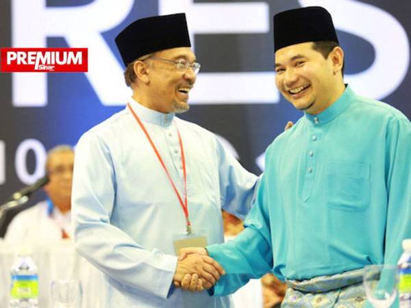 Kemelut kepimpinan dalam Angkatan Muda Keadilan (AMK) Pusat dipercayai berpunca daripada pertembungan antara kumpulan pro-Anwar dan kem pemimpin dikuasai Naib Presiden PKR, Rafizi Ramli.