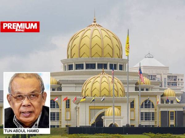 Menurut Tun Abdul Hamid, rencana beliau dan kenyataan Peguam Negara bukanlah berkenaan Muhyiddin. Ia adalah satu pendapat umum yang terpakai kepada setiap orang yang menduduki jawatan Perdana Menteri yang bertanggungjawab menasihati Seri Paduka Baginda.