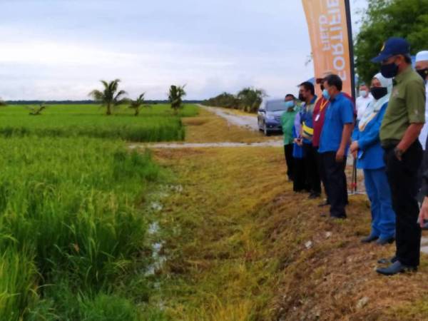 Che Abdullah (tiga dari kanan) melihat tanaman padi di Felcra Seberang Perak selepas mengadakan lawatan kerja di Jelapang Padi Seberang Perak di Pasir Salak pada Selasa.