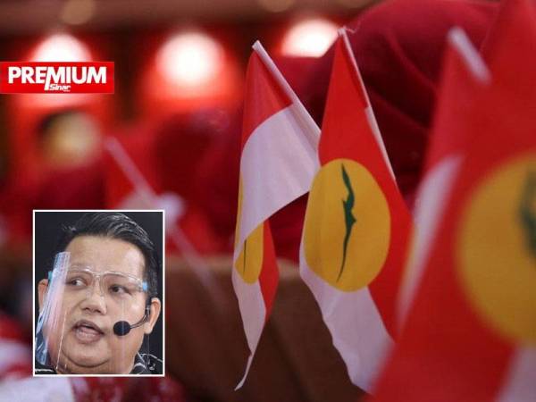 Pemilihan parti UMNO ditangguhkan selama 18 bulan sehingga awal 2023. Gambar kecil: Mujibu Abd Muis