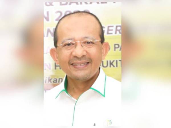 Mohd Hizamri