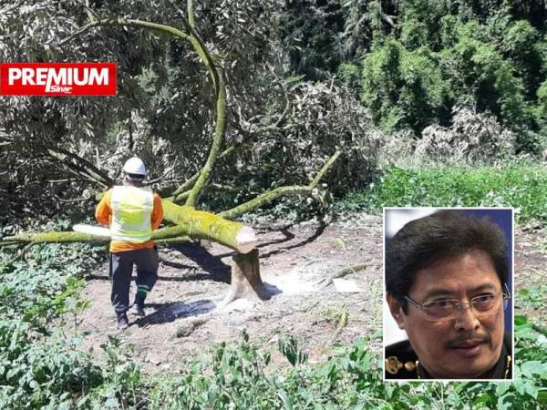 SPRM telah memanggil peneroka dan pihak berkuasa berkaitan untuk dirakam keterangan berhubung pencerobohan tanah yang dijadikan ladang durian di Raub. Gambar kecil: Azam Baki