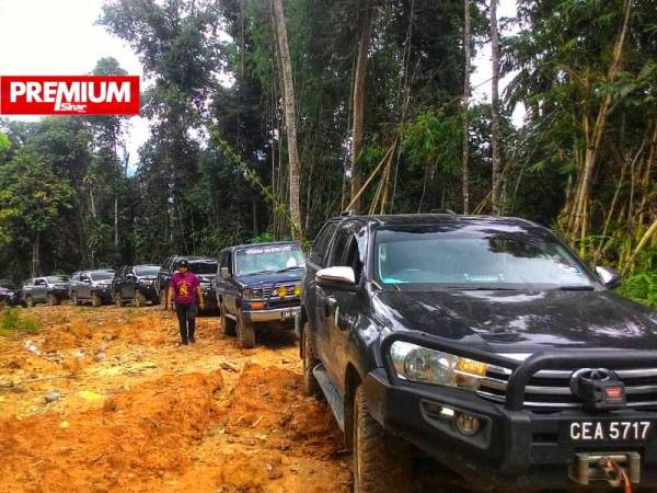 Suasana terkawal dalam operasi memusnahkan pokok durian di Hutan Simpan Batu Talam, Raub selepas kehadiran anggota PGA.