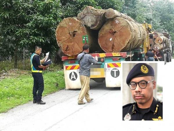 Pemeriksaan terhadap lori balak dilakukan oleh penguat kuasa JPJ Kelantan. (Gambar kecil: Hanif Yusabra)