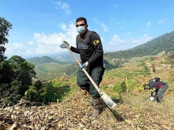 Kerja-kerja penanaman pokok dilakukan bagi mengelak hakisan dan pencemaran sumber air di HSK Batu Talam, Raub.- Foto ihsan JPNP