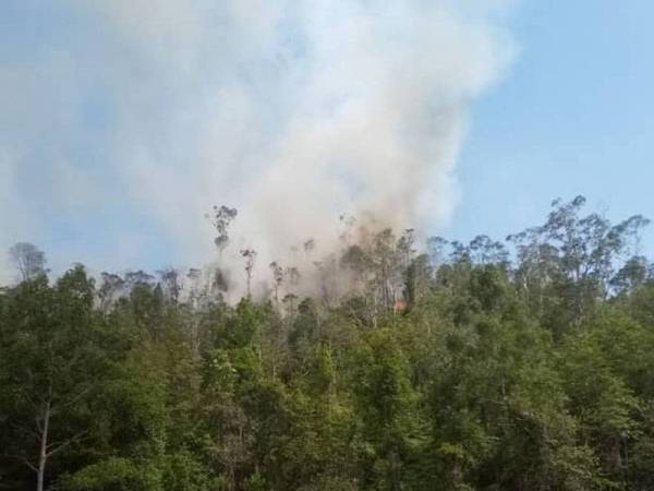 Keadaan kebakaran di puncak Bukit Harimau Menangis petang, pada Khamis. Foto: Ihsan bomba