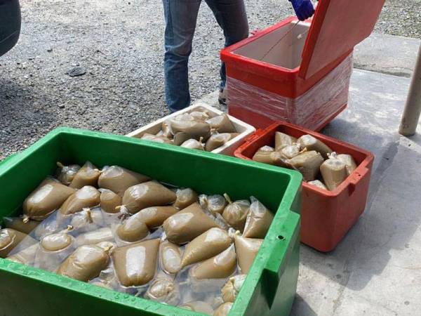 Bungkusan air ketum yang dirampas dalam serbuan di Kampung Delek, Klang pada Jumaat.