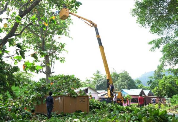 Kerja memangkas pokok dijalankan di tapak pembinaan PPSN Sungai Batu.