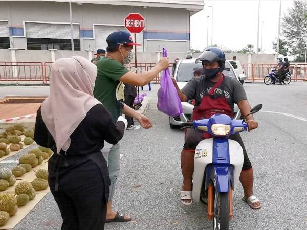 Hakim Fahmi (tengah) mengangihkan durian percuma kepada orang ramai di premis perniagaan Durian 2.5K Musang King di Ladang, Kuala Terengganu.