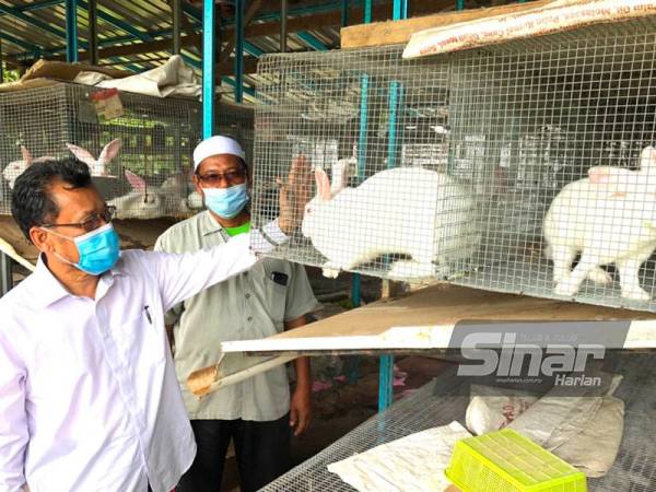 Timbalan Menteri Pertanian dan Industri Makanan (MAFI) II, Datuk Che Abdullah Mat Nawi (kiri) meninjau ke Projek Ternakan Arnab milik Ismail Jusoh, 56, di Kampung Lambor, Wakaf Bharu, Tumpat, pada Ahad.