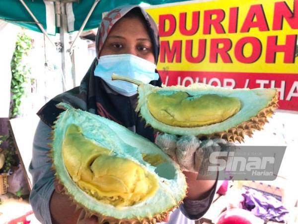 Tengku Nor Amira menunjukkan buah durian yang kini dijual dengan harga murah di gerai buah-buahan di Kampung Raja Geting, Pengkalan Kubor, Tumpat.