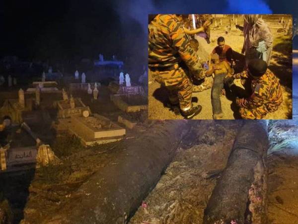 Pokok kelapa sawit reput tumbang mengenai seorang lelaki yang sedang menguruskan pengebumian anaknya di Teluk Intan. Foto: ihsan Bomba Perak.