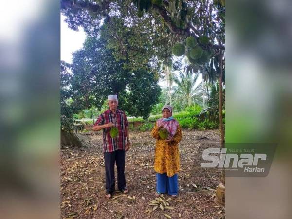 Syed Abu Bakar bersama isterinya, Rohana Ariffin, 73, bersama hasil durian daripada pokok berusia lebih 100 tahun.