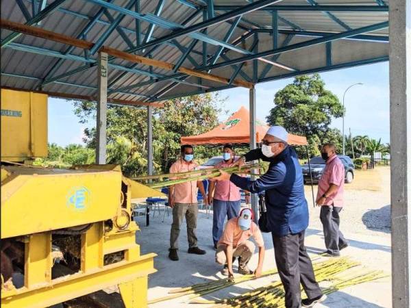 Razman memasukkan batang kenaf ke dalam mesin untuk diproses ketika Lawatan Kerja dan Perasmian Penuaian Tanaman Kenaf di ladang Gugusan Lambor, pada Selasa.