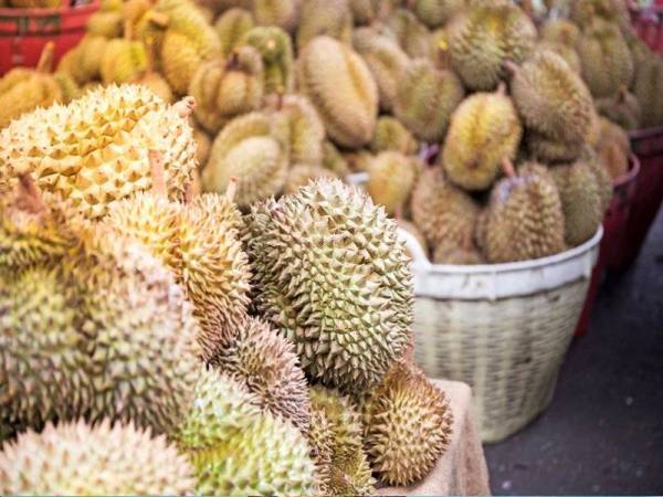 Dermawan dan orang ramai yang prihatin diseru untuk memborong durian di Jeli dan Tanah Merah, Kelantan bagi membantu pekebun durian sekali gus menyelesaikan masalah lambakan buah tersebut. Gambar hiasan 123rf 