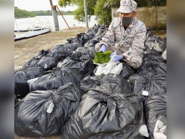 Seorang anggota Maritim Malaysia menunjukkan daun ketum yang ditinggalkan di dalam bot fiber tanpa nombor pendaftaran di tepi muara di Kuala Sanglang, Kedah pada jam 4.00 pagi, Rabu. - Foto ihsan Maritim Malaysia