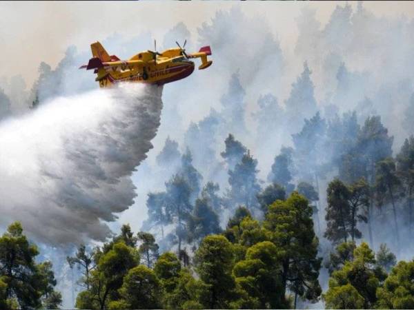 Gambar fail menunjukkan sebuah pesawat memadamkan kebakaran hutan dekat kampung Ellinika, Evia baru-baru ini. - Foto Reuters