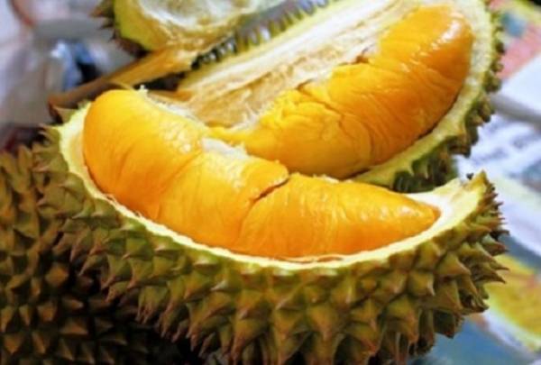 Durian kampung berkualiti tinggi di Terengganu akan dijenamakan semula bagi mengangkat martabat raja buah itu untuk dikomersialkan di peringkat lebih tinggi setanding dengan durian musang king.