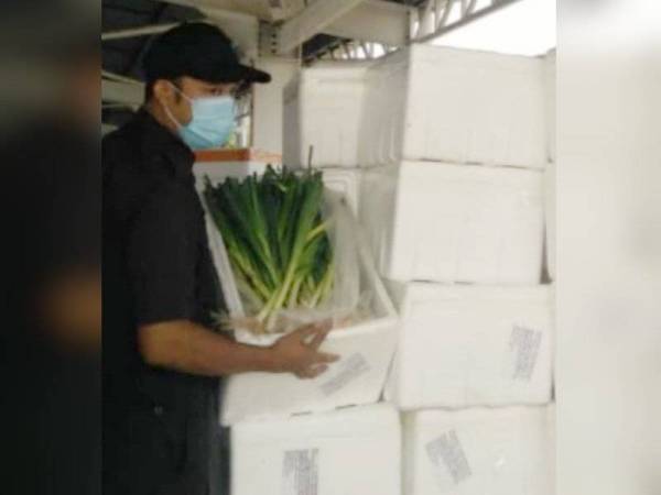 Maqis Johor merampas satu tan daun bawang dari China di Pelabuhan Tanjung Pelepas pada Selasa.