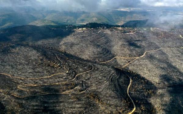 Hutan seluas 2,500 di kawasan pergunungan terletak kira-kira lapan kilometer di barat Baitulmaqdis musnah dijilat api sejak kebakaran tercetus pada Ahad lalu. - Foto AFP