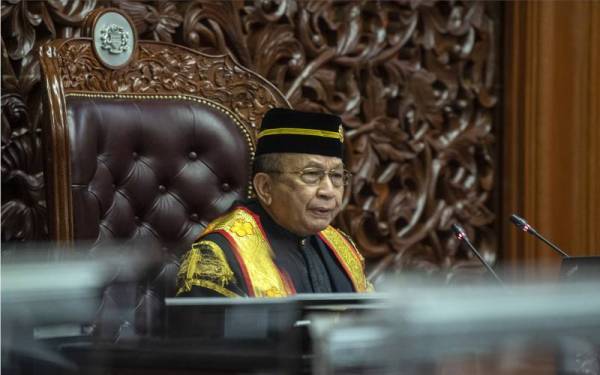 Zaman Dewan Negara pasif sudah berlalu, masa untuk diaktifkan