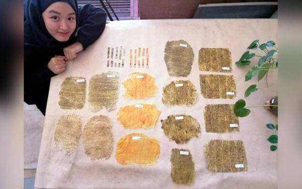 Menlin Ng Aniathul Fitria, 24, bersama material 'bio-leather' ciptaannya yang diperbuat sepenuhnya daripada bahan semula jadi dengan menggunakan kulit buah sitrus seperti limau kasturi sebagai bahan utama. - Foto Bernama