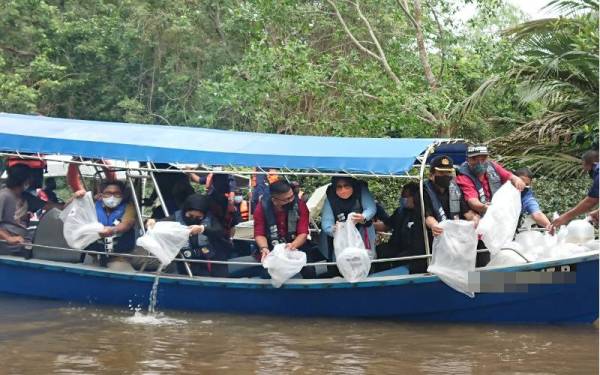 Ahmad (dua dari kanan) melepaskan benih udang di Sungai Paya Lebar, Lubok China di sini, pada Sabtu.