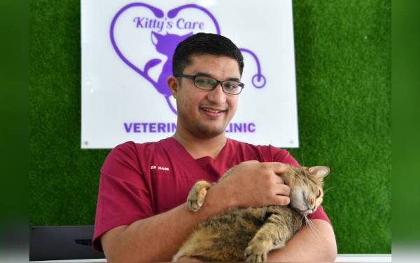 Kittyu0027s Foodbank bantu penjaga kucing terjejas