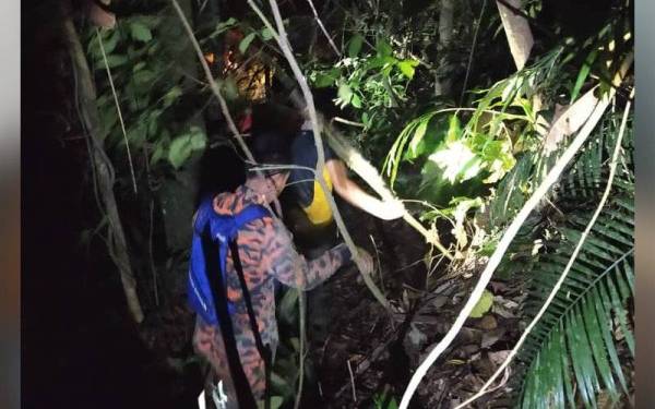 Anggota bomba ketika membawa turun mangsa yang dilaporkan tersesat ketika aktiviti mendaki bukit di kawasan Gunung Hitam, Sungai Lui pada Ahad. - Foto ihsan bomba