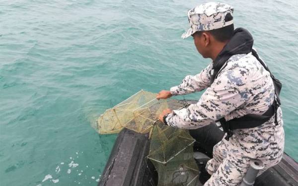 Anggota Maritim Malaysia mengangkat bubu naga yang dipasang.