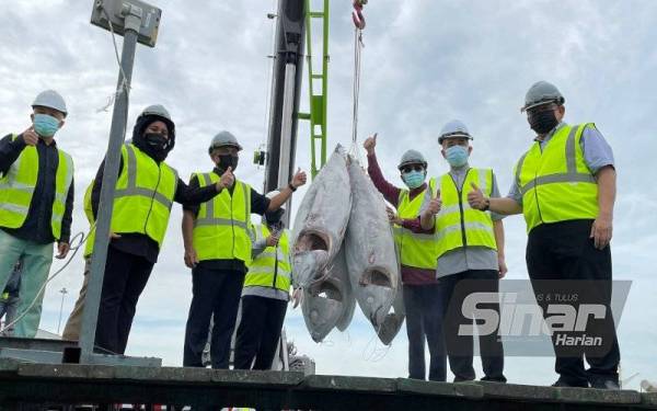 Kerajaan tingkat pembangunan industri tuna