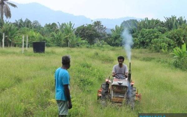 Penggiat seni berusia 47 tahun itu mula menceburi bidang pertanian dengan menanam sayur-sayuran seperti sawi, bayam dan limau serta menjualnya bagi meneruskan kehidupan.