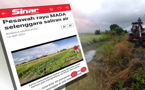 Laporan Sinar Harian pada 12 September lalu. Kerja-kerja pembersihan saluran Parit Pida 16 Lama di Jerlun dilakukan segera oleh MADA bagi mengatasi masalah saliran tersumbat untuk mengelakkan padi petani tenggelam ketika cuaca hujan dan ribut.