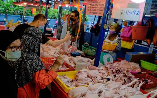 Harga ayam naik kepada RM10 sekilogram pada Sabtu lalu berbanding RM7 sekilogram pada 4 September lepas. - Foto Bernama 