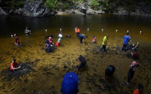 Pembukaan lokasi tumpuan pelancong itu memberi peluang kepada penggiat ekonomi pelancongan untuk kembali bernafas. - Foto fail Bernama.