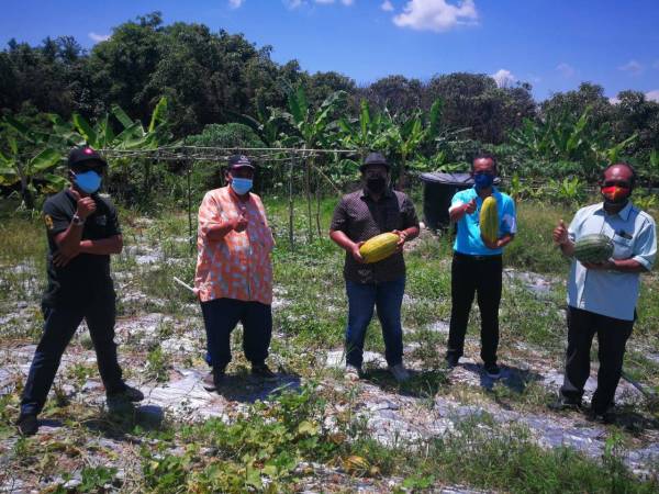 Adhif Syan (tiga dari kiri) memegang tembikai yang dihasilkan penduduk di Kebun Komuniti Bandar Seri Ehsan di Banting pada Jumaat.