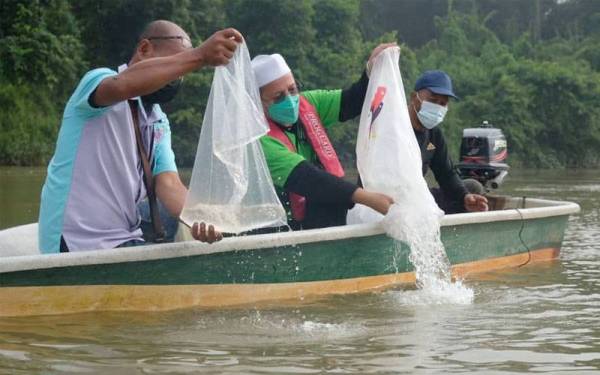 Aktiviti pelepaskan benih ikan di seluruh Terengganu melibatkan 440,200 ekor ikan pelbagai spesies termasuk udang galah.