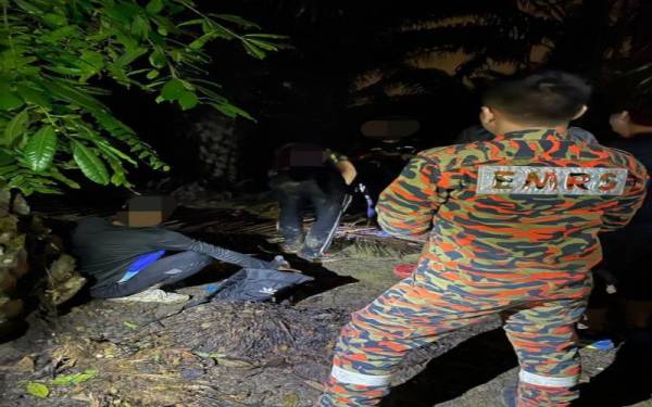 Anggota bomba menemui dua pendaki yang sesat di Gunung Pulai pada malam Ahad.