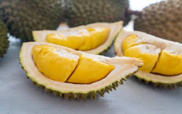 Durian musang king, Bukit Fraser, Kompleks Geopark Benum, bandar Raub serta ekopelancongan dan agropelancongan di daerah tersebut antara yang dikemukakan sebagai Lima Permata Raub.(Gambar hiasan) - Foto 123rf