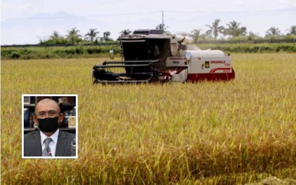 Program Smart Sawah Berskala Besar dijangka mampu meningkatkan pengeluaran padi beras negara ke tahap lebih tinggi.Ronald Kiandee (Gambar Kecil)