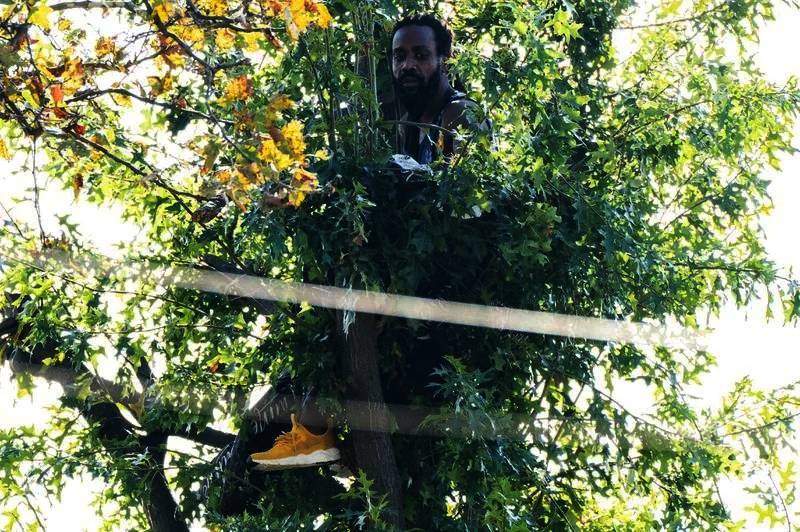  'Drama' seorang lelaki tinggal di atas sebatang pokok selama tiga hari kerana takut ditangkap polis di New York. - Theodore Parisienne/New York Daily News
