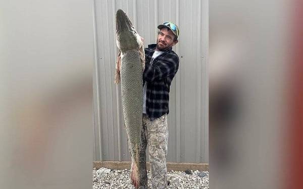 Danny Lee Smith berjaya menangkap ikan berkepala buaya di Sungai Neosho, Kansas baru -baru ini. - Foto KDWP